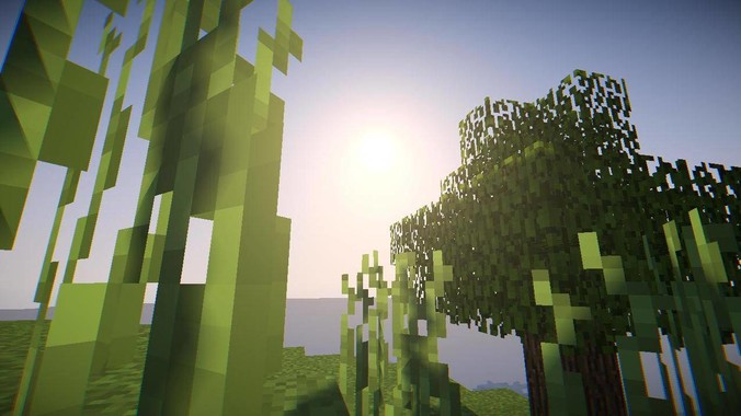 养乌龟是什么体会?